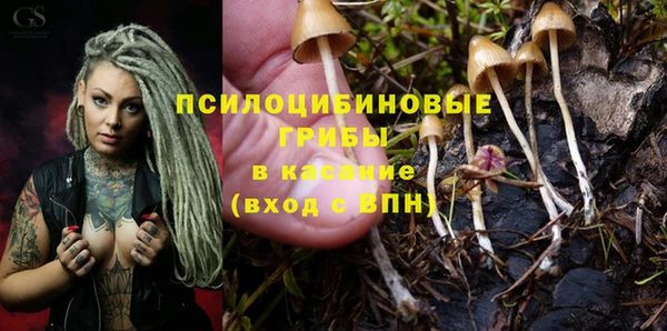 мескалин Дмитриев