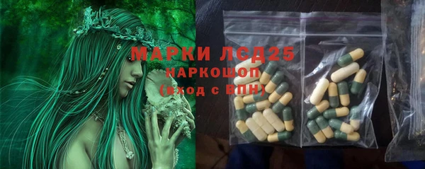 винт Дмитров