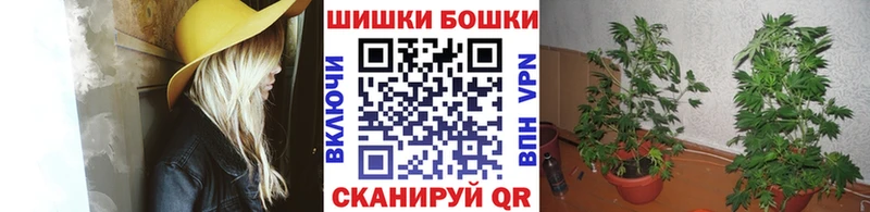 Шишки марихуана Amnesia  Купить закладки  Кирово-Чепецк 